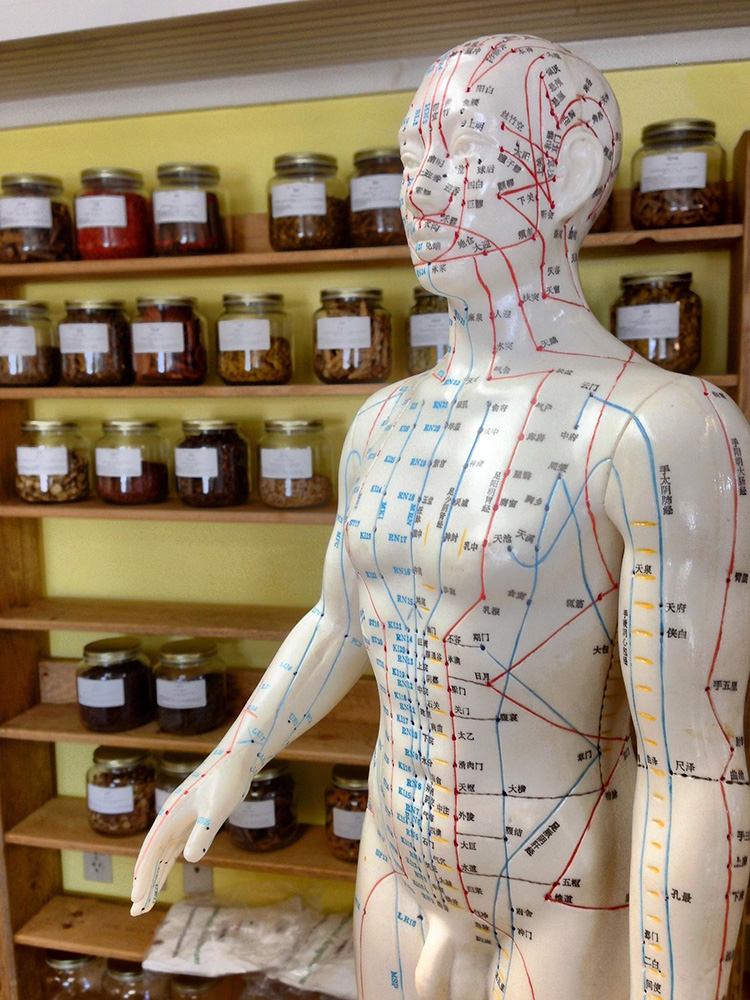 Why Diet and Healthy Eating Matter for Your Anatomy 