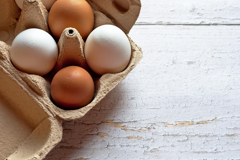 Why Diet and Healthy Eating Matter for Your Anatomy  Eggs