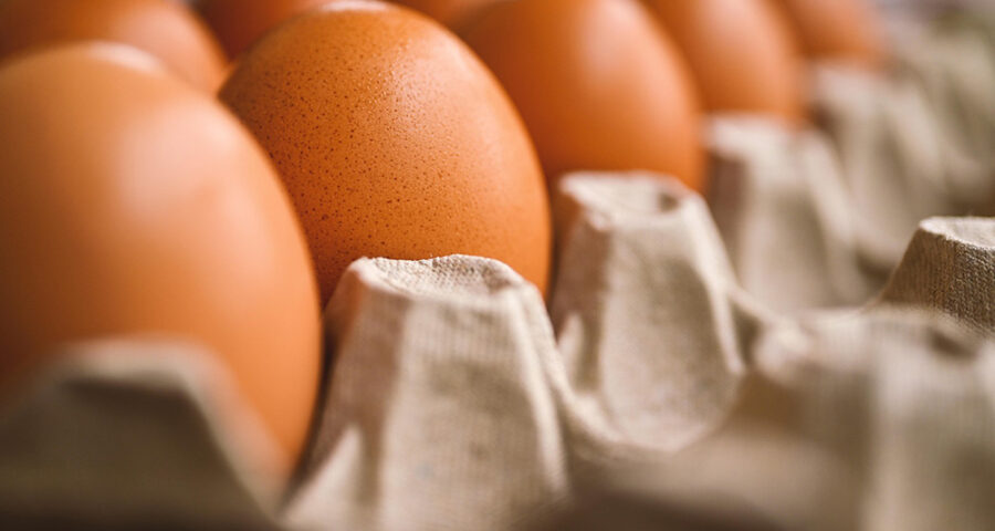 Best Foods for Eye Health Eggs