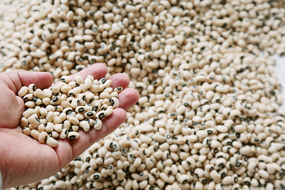 Best Foods for Eye Health - Legumes